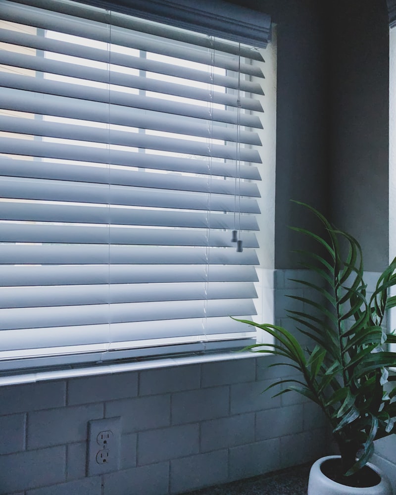 Faux wood blinds closed against afternoon sun