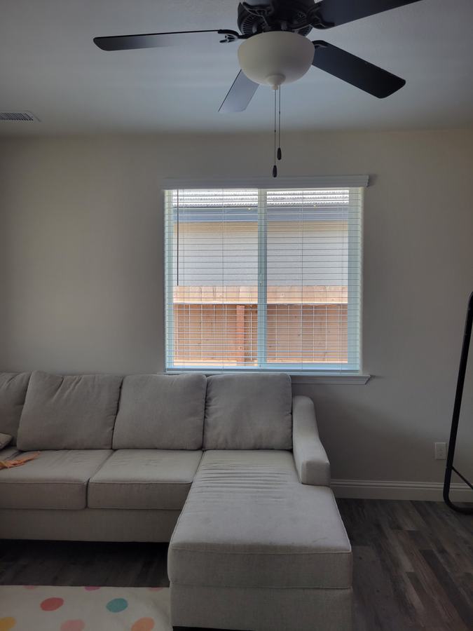 Living room, blinds behind the sofa